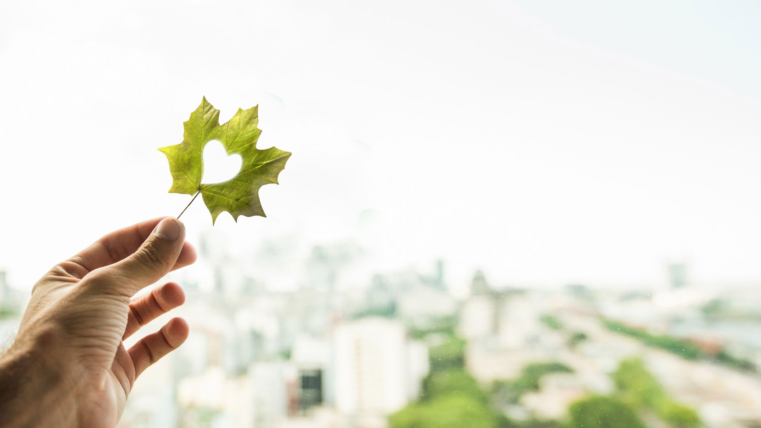 grupo-samos-servicios-medioambientales-01